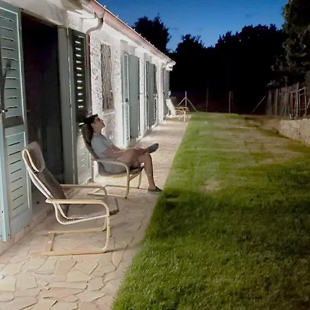 فيلة Celeste رينا ماجور